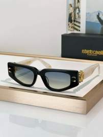 Picture of Roberto Cavalli Sunglasses _SKUfw69699341fw